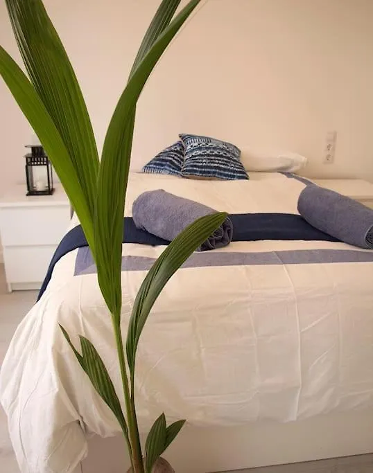 Triana_Villa In Palma City With Private Pool - Etv/10914 Palma de Mallorca